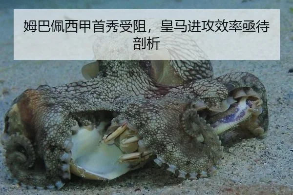 mu-ba-pei-xi-jia-shou-xiu-shou-zu-huang-ma-jin-gong-xiao-lv-ji-dai-pou-xi-2-520.jpg