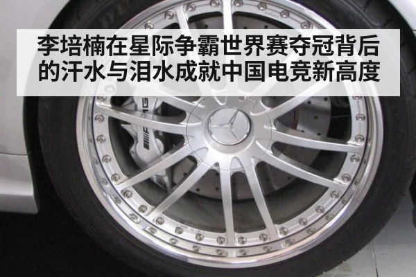 李培楠在星际争霸世界赛夺冠背后的汗水与泪水成就中国电竞新高度